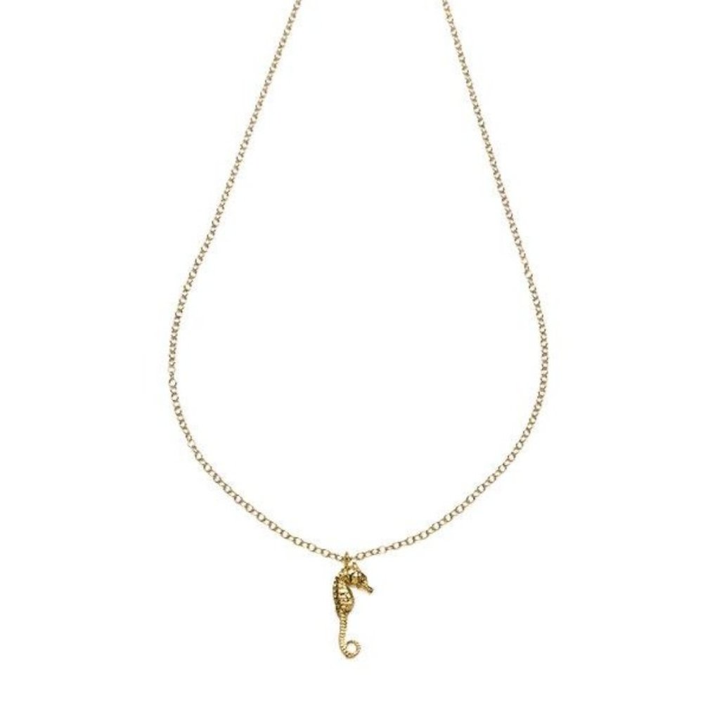 Petite Hawaiian Seahorse Necklace